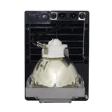 Digital Projection 114-229 Compatible Projector Lamp Module