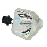 IWASAKI HS280AR102E OEM Projector Bare Lamp