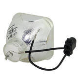 IWASAKI HS280AR102E OEM Projector Bare Lamp
